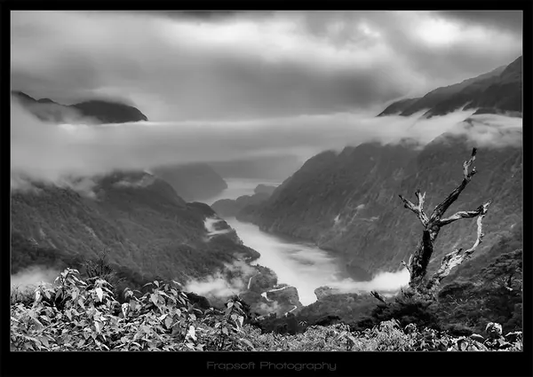 Doubtful Sound – Part I - photo 3