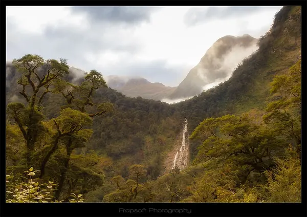 Doubtful Sound – Part I - photo 4