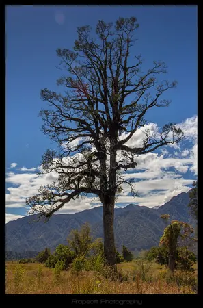 Hiking Down the River – Part VI - photo 2
