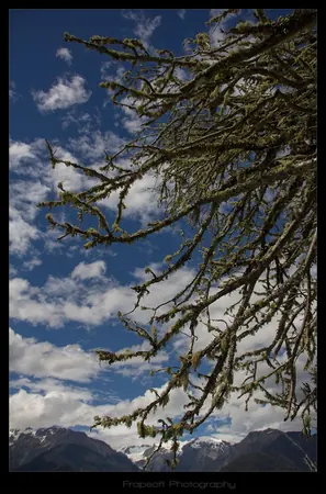Hiking Down the River – Part VI - photo 4
