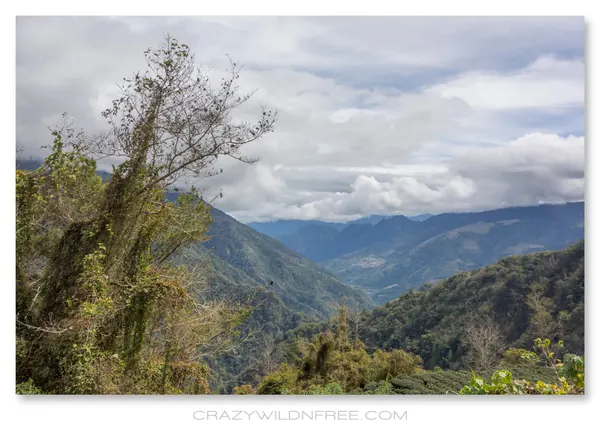 East Taiwan Mountains