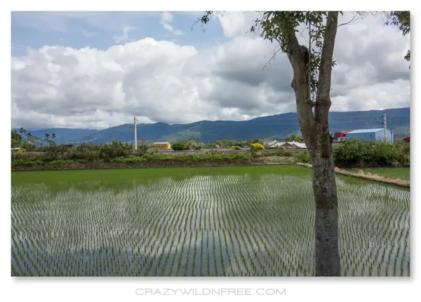 East Taiwan – Part II