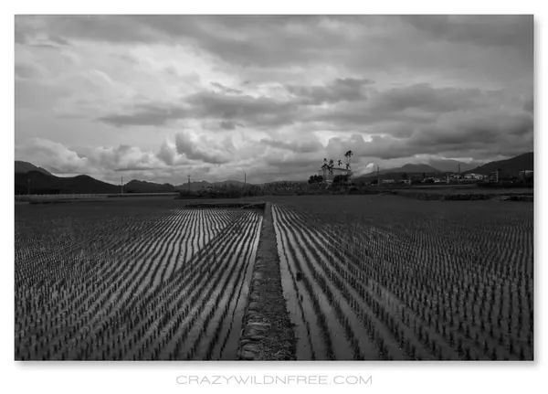 East Taiwan – Part II - photo 2