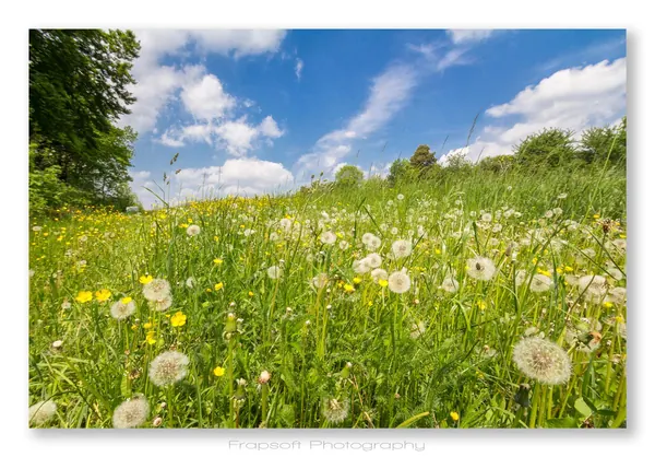 Edelfingen - photo 2