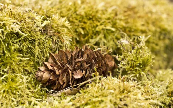 Erlenbachtal - photo 4