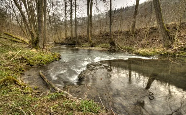 Erlenbachtal - photo 10