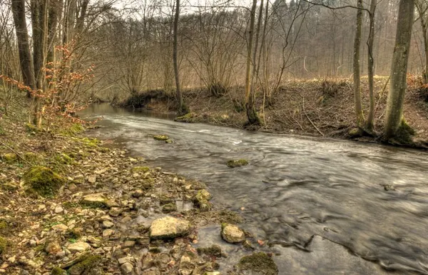Erlenbachtal - photo 12