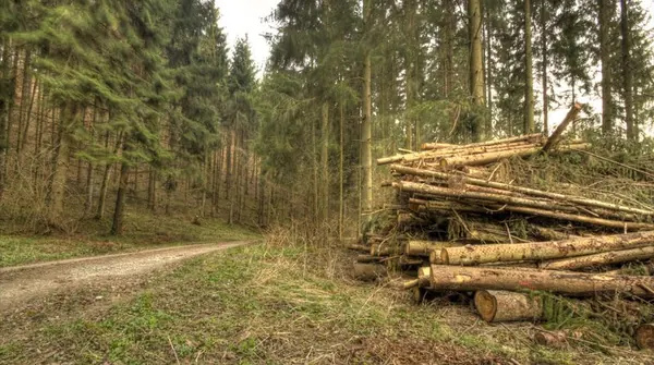 Erlenbachtal - photo 14