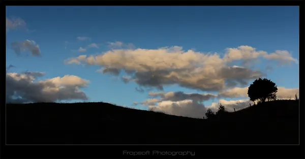 Evening in Te Anau - photo 3