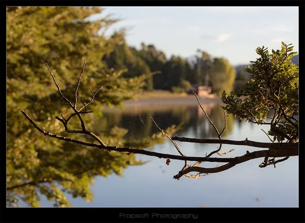 Evening Lake Te Anau – Part II - photo 3