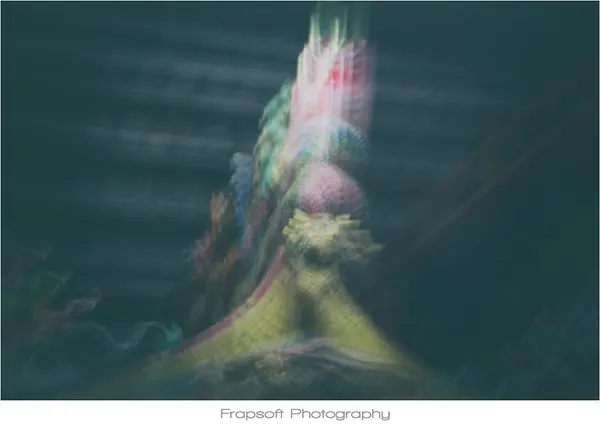 Experimental Photography - photo 4