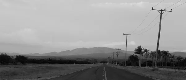 Life and Work on a Farm in the Bush - photo 5
