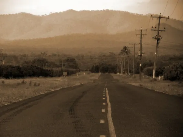 Life and Work on a Farm in the Bush - photo 6