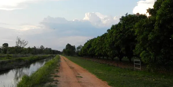 Life and Work on a Farm in the Bush - photo 11