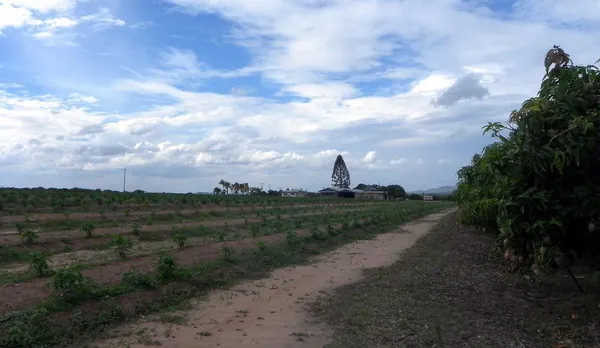 Life in a Farm in the Outback - photo 2