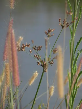 Life in a Farm in the Outback - photo 7