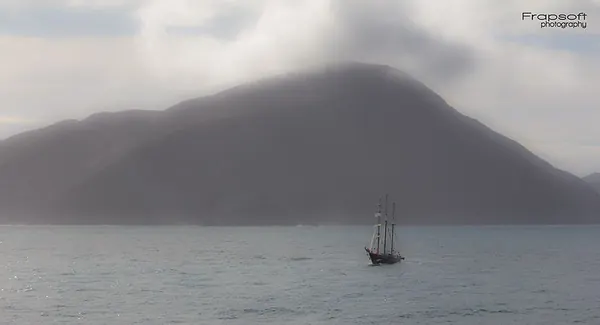Ferry From the North Island to the South – Part II