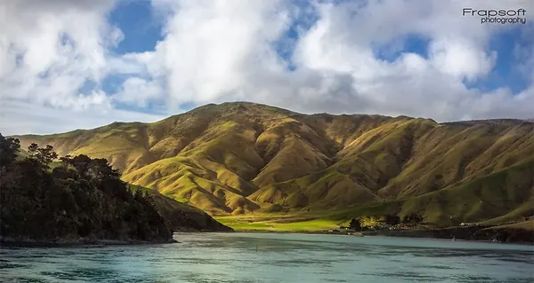 Ferry From the North Island to the South – Part II - photo 2