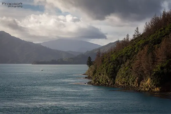 Ferry From the North Island to the South – Part II - photo 4