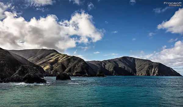 Ferry From the North Island to the South – Part I - photo 2