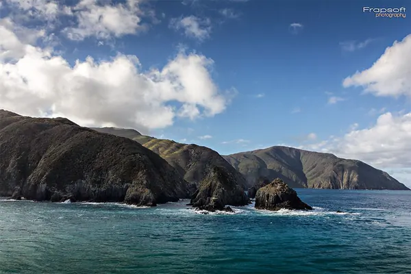 Ferry From the North Island to the South – Part I - photo 3