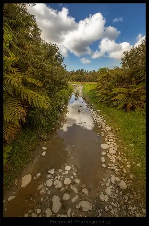 Finally Its Getting Summer in Nz - photo 2