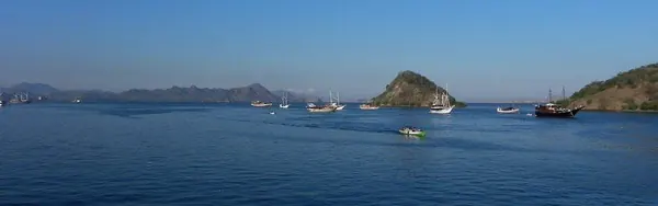 Flores - photo 5