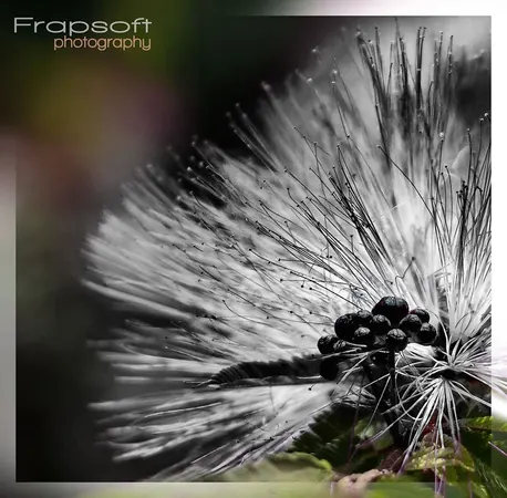 Flower Power - photo 3