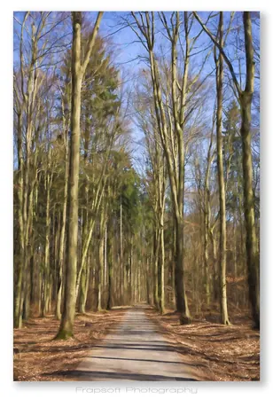Alex Knob Track – Part I - photo 3