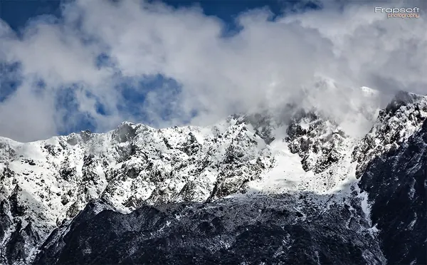 Fox Glacier – Part I - photo 2