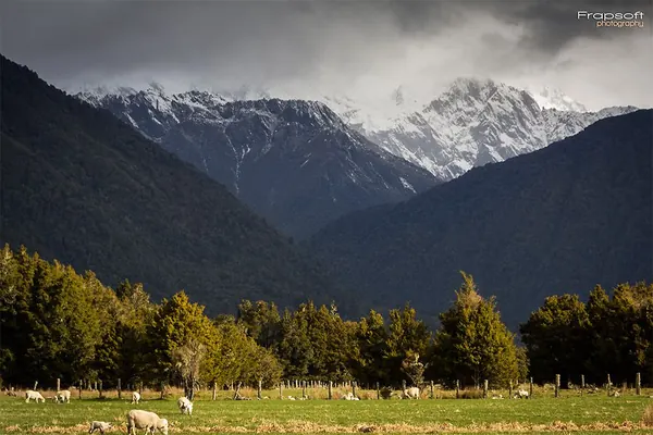 Fox Glacier – Part III - photo 3