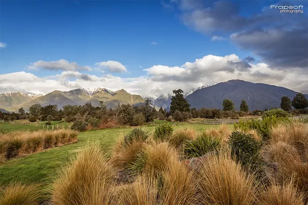 Fox Glacier – Part V