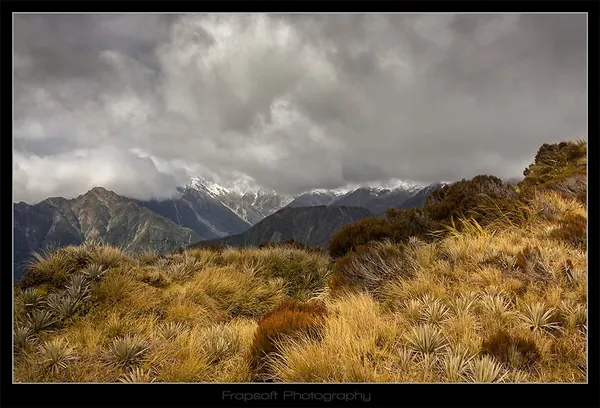 Franz Josef Mixed - photo 3