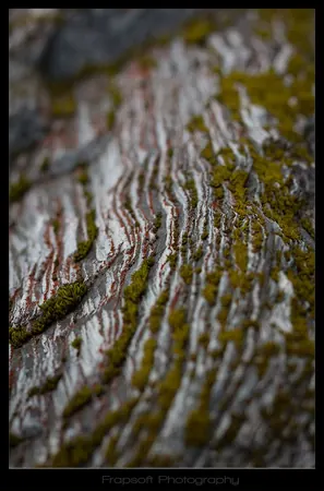 Franz Josef Area – Part III - photo 3