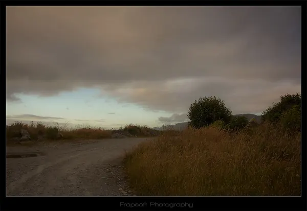 Franz Josef – Part III - photo 4