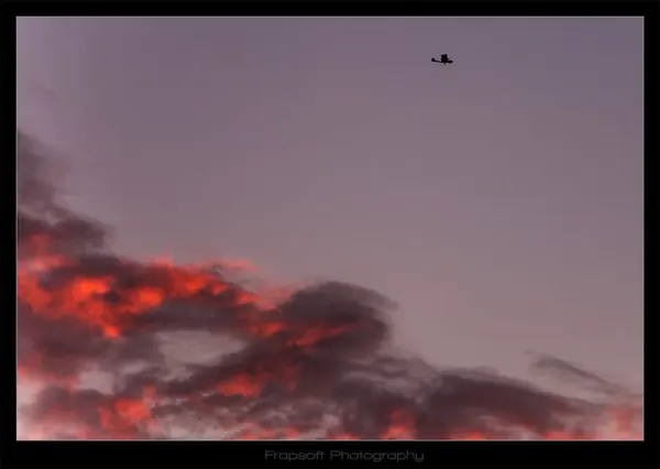 Franz Josef Sunet - photo 4