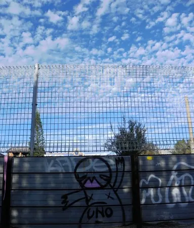 Last Days in Mildura - photo 8