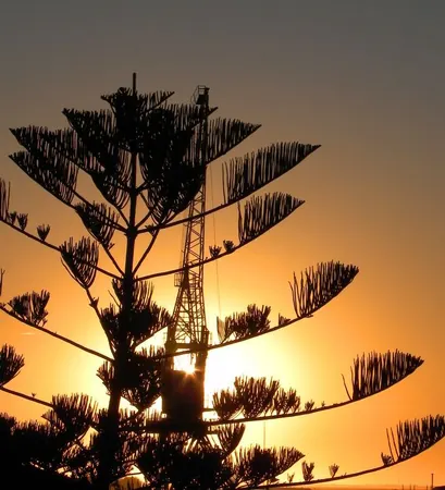 Last Days in Mildura - photo 18
