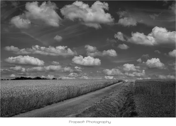 Germany Countryside in Black & White - photo 2