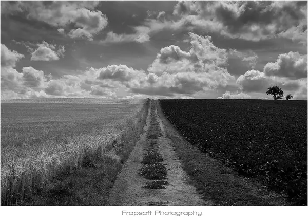 Germany Countryside in Black & White - photo 4