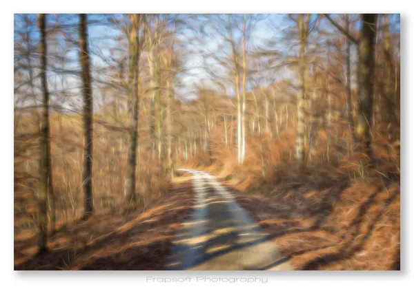 Markelsheim - photo 2