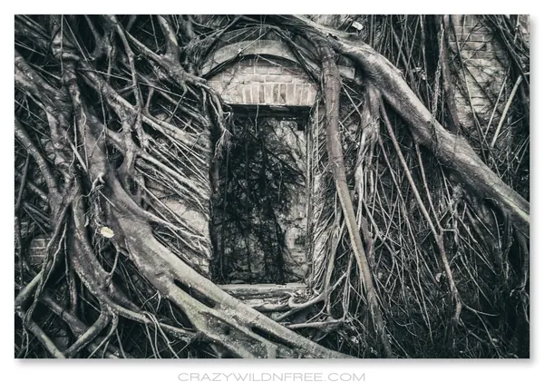 Ghost House Chiayi - photo 3