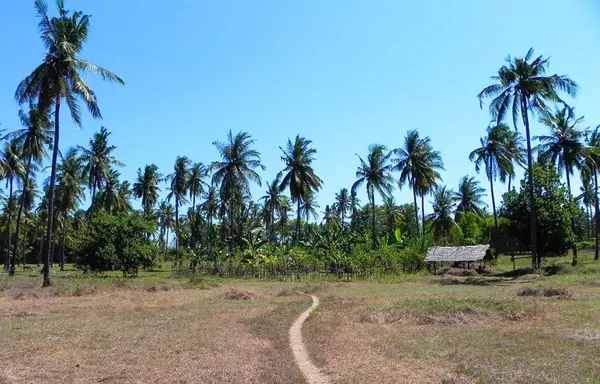 Gili Air - photo 4