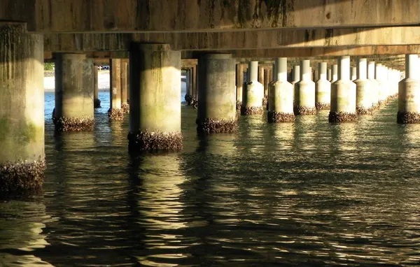 Gold Coast & Surfers Paradise - photo 11