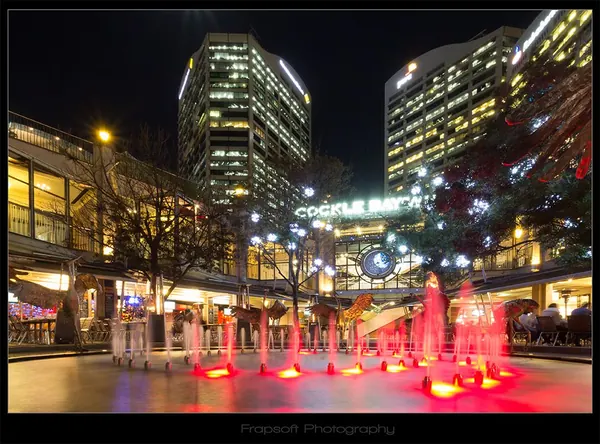 Last Night in Sydney - photo 2
