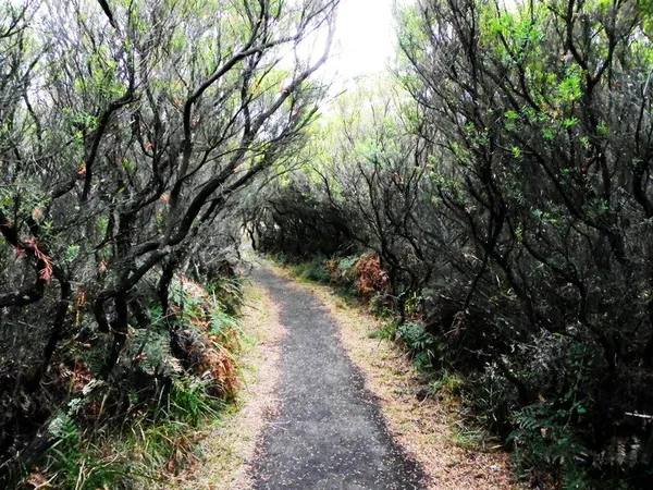 Great Ocean Road Roadtrip – Landscape :: HDR I - photo 6