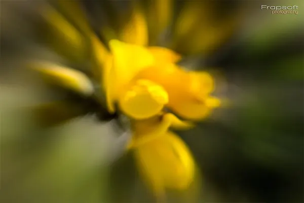 Greymouth - photo 4