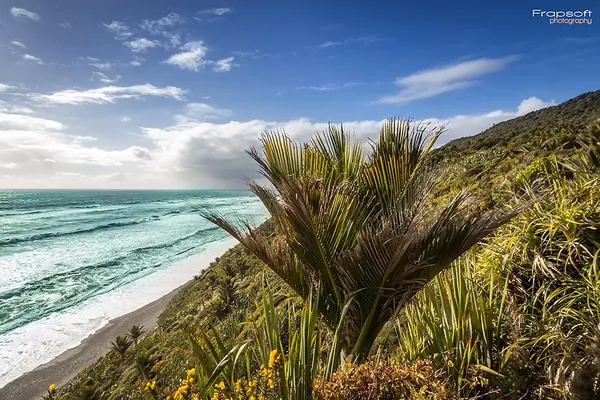 Greymouth - photo 6