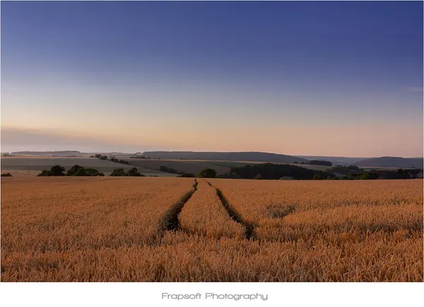 Harvesting the Fields