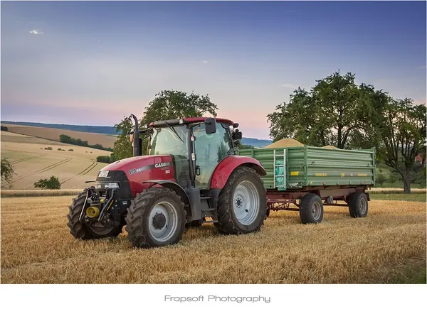 Harvesting the Fields - photo 3
